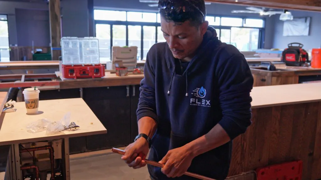 PICTURES FLEX_1.21.1